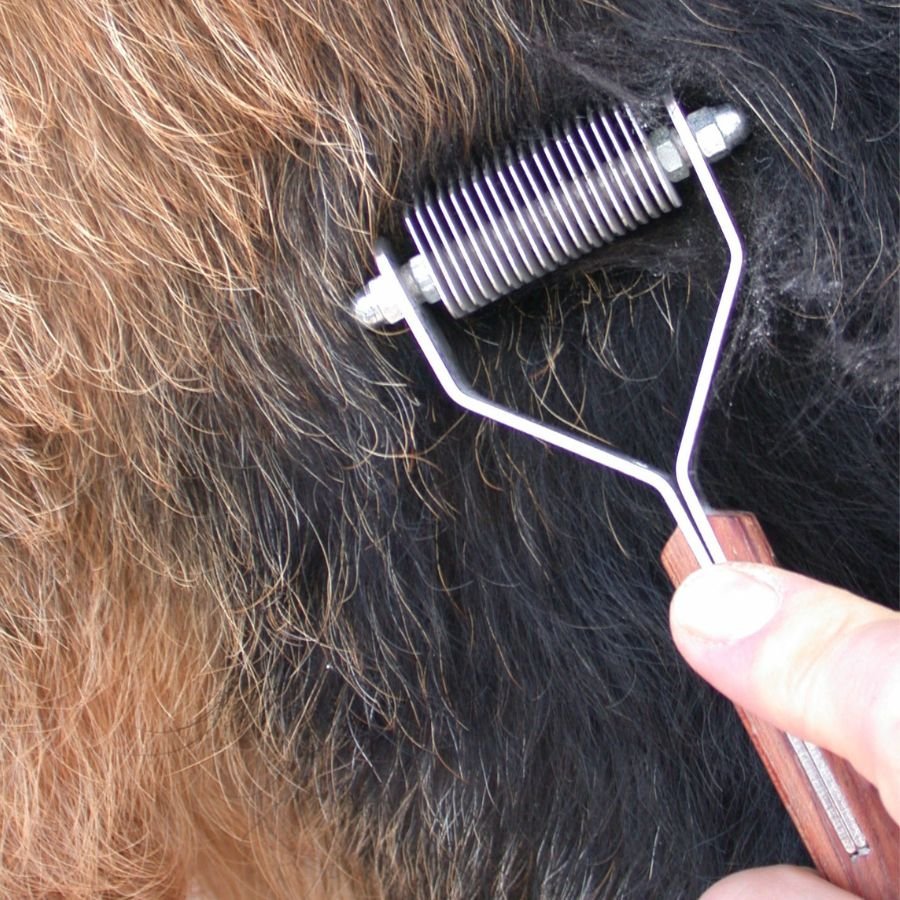 épilation pour chien